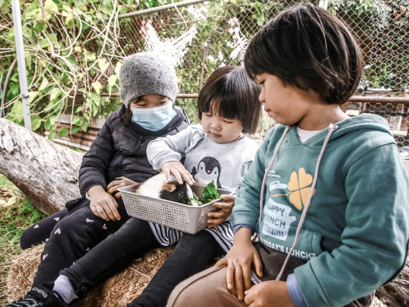 墨尔本浸濡式考察 墨尔本浸濡式考察 (3 kids cuddling a guinea pig)