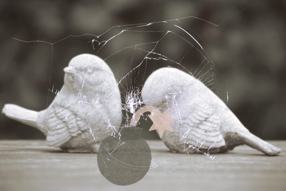 妈妈才是导火线 (两只白色鸟儿面对面站立,旁边有一个灰色炸弹,背景模糊,画面充满紧张氛围)