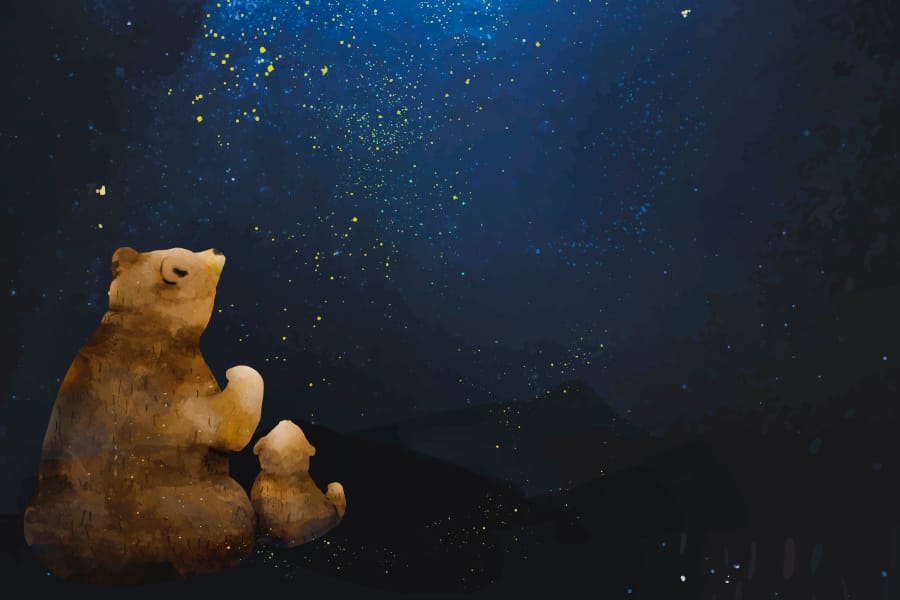 一个女儿迟来的醒悟 (一只公熊和小熊坐在夜空下,仰望满天星星,画面温馨宁静)
