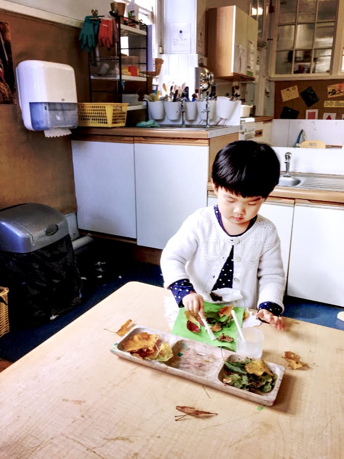 杯杯面在爱丁堡的幼儿园 (幼儿园教室里，一名孩子用刷子和树叶进行手工创作，桌上木托盘整齐摆放多种叶片)