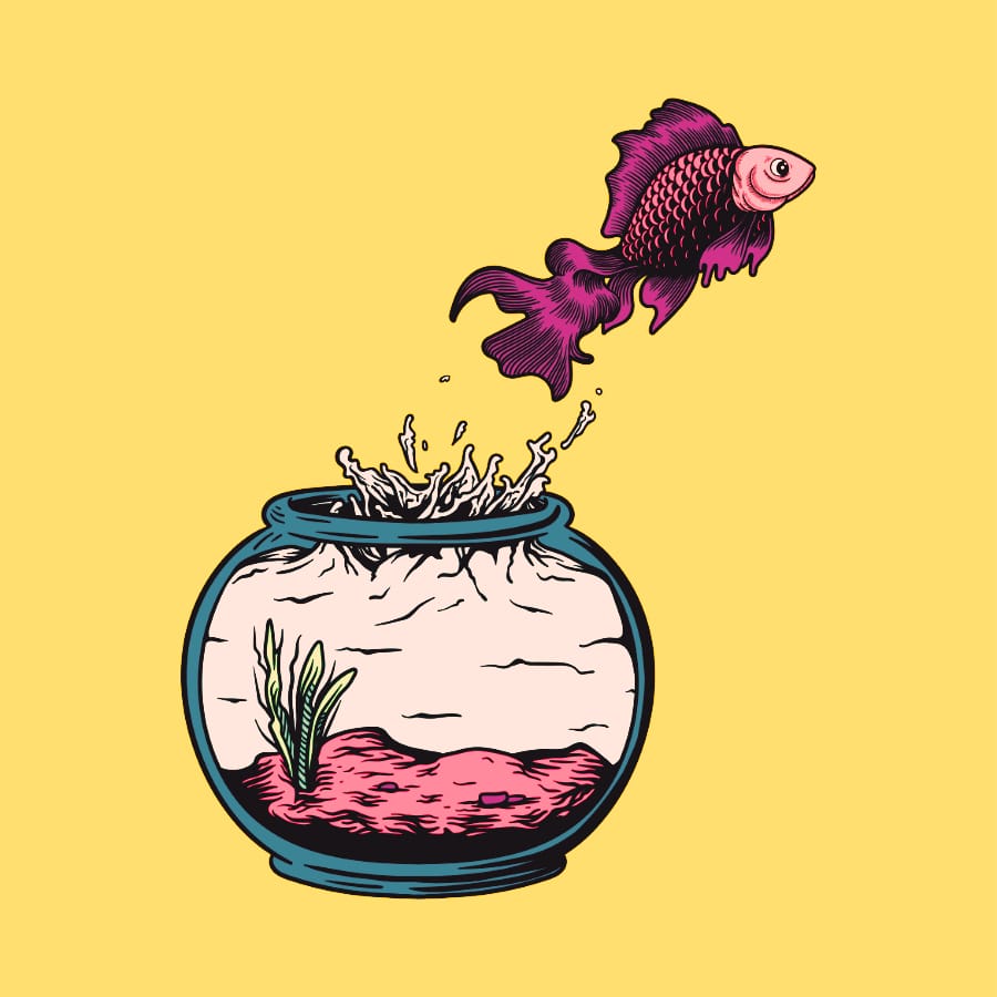 遭遇各种挑战 (紫色金鱼跃出蓝色鱼缸，粉色水花四溅，黄底插画风格)