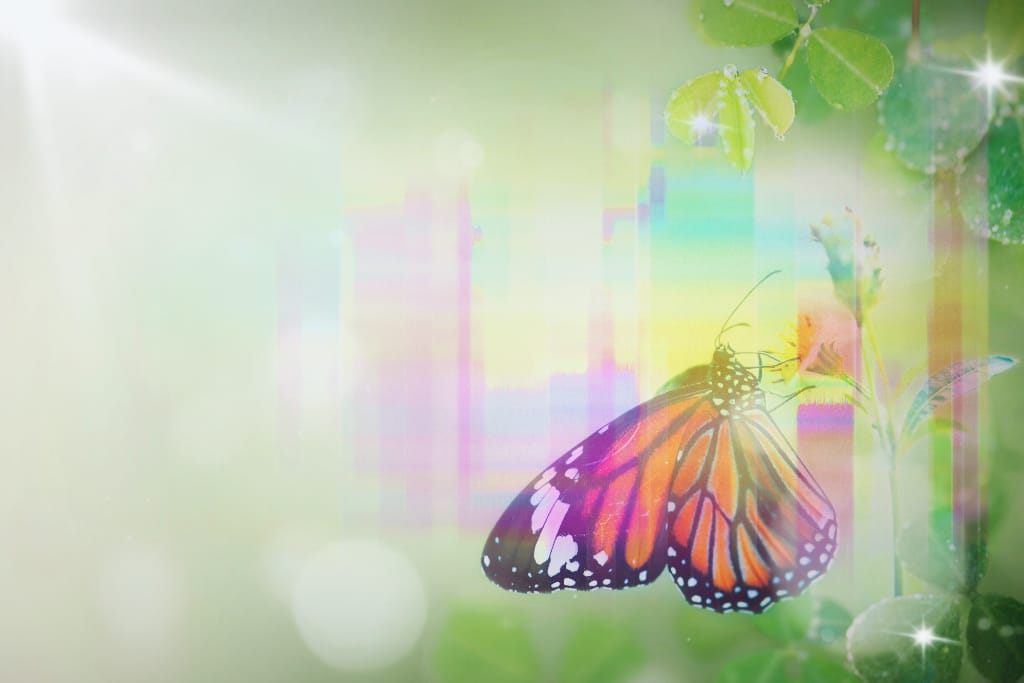 杯杯面的成长期 (橙黑斑纹帝王蝶停在黄花上，背景为绿色虚化与多彩竖向光带的梦幻合成效果)